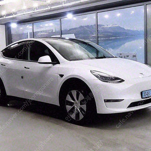 테슬라 모델 Y 중고차 모델Y 중고자동차 흰색 2021년식 76,343km 스탠다드 레인지 개인사업자 차량구매