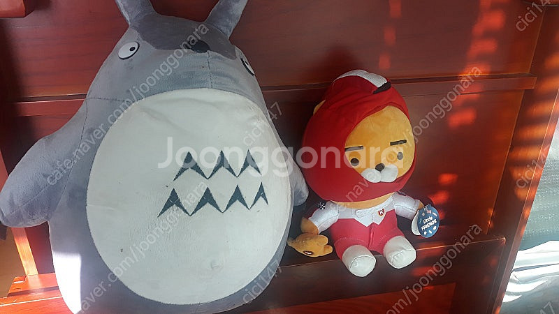 인형5000~10000--0
