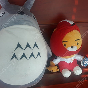인형5000~10000