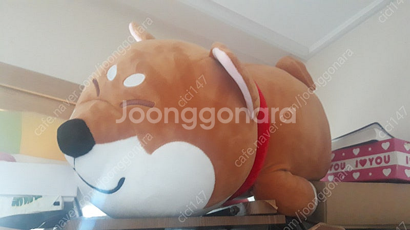 인형5000~10000--1