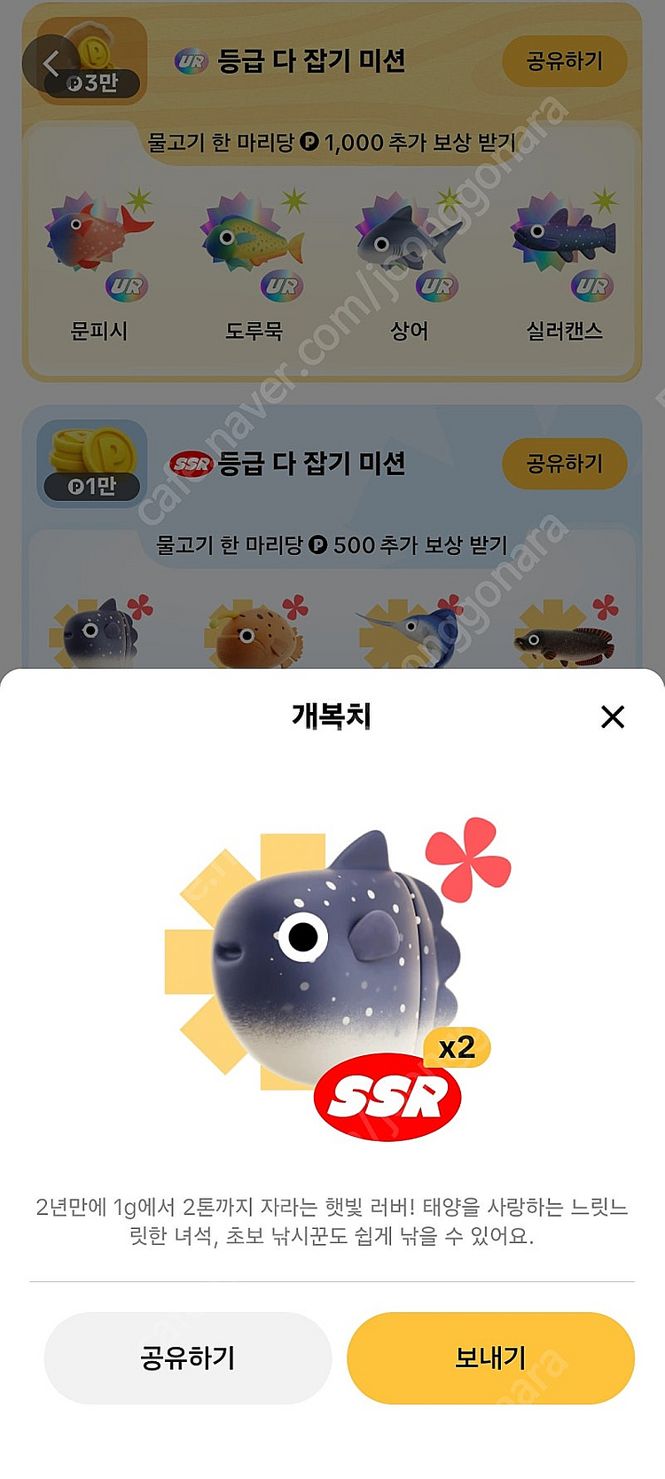 개복치랑황새치교환해요 빠른거래해요 아니면개복치판매해요--0