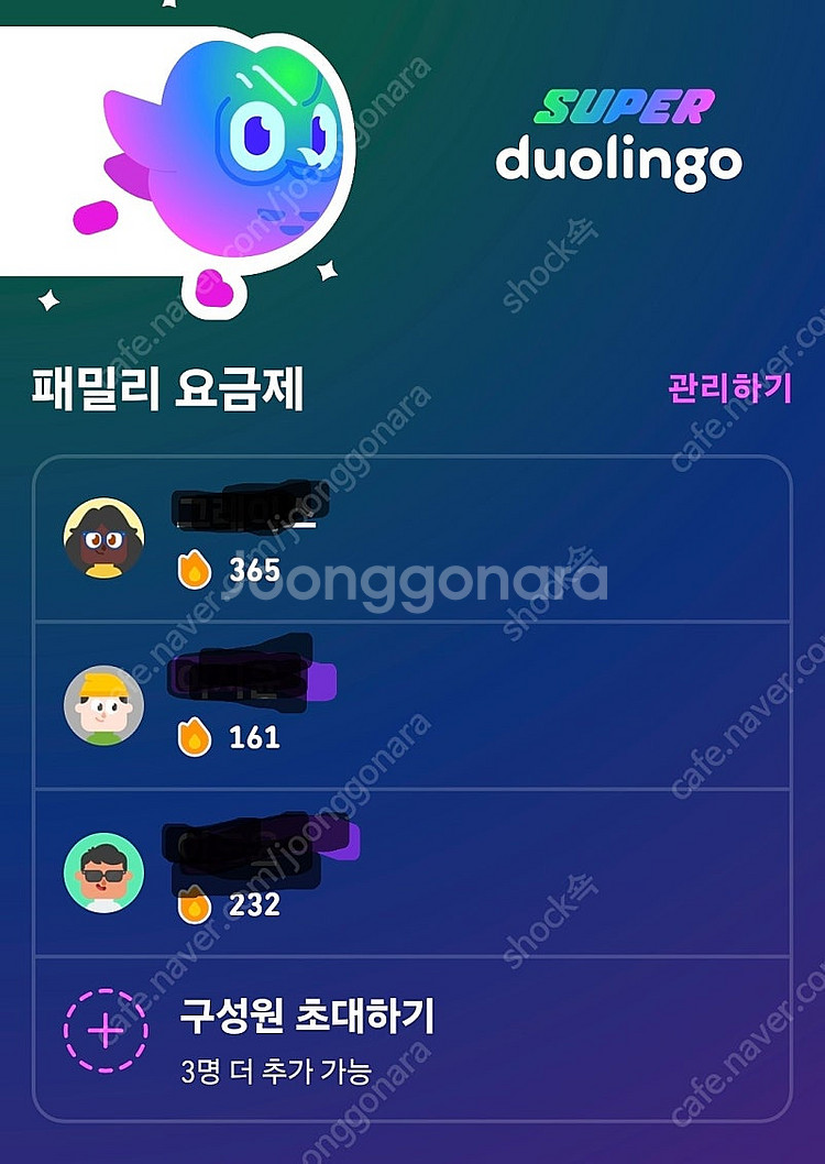 듀오링고 패밀리--0