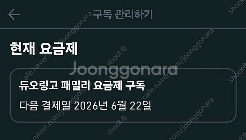 듀오링고 패밀리--1