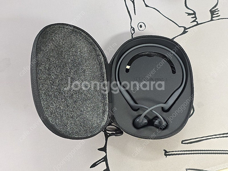 샥즈 오픈런 프로 2 s820 골전도 이어폰 (해외직구...--0
