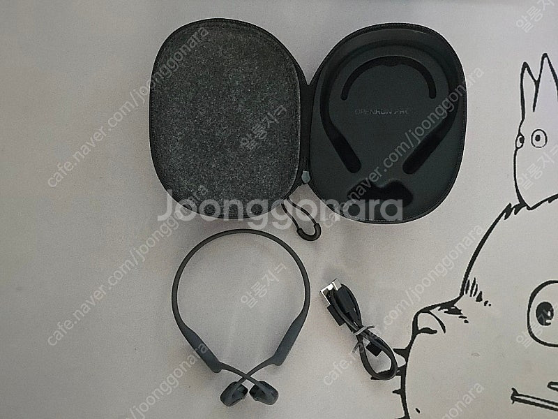 샥즈 오픈런 프로 2 s820 골전도 이어폰 (해외직구...--1