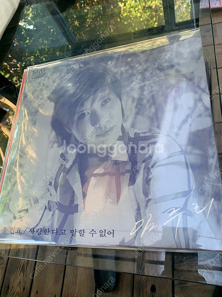 임주리 명혜원 이은하 유가화 lp--0