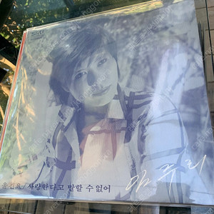 임주리 명혜원 이은하 유가화 lp