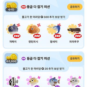 틱톡 실러캔스 4만에 삽니다. kim88392(kim0****) 010 8068 0639 사기꾼입니다.거래하실때 잘보세요.