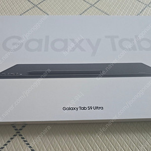 갤럭시탭9울트라
