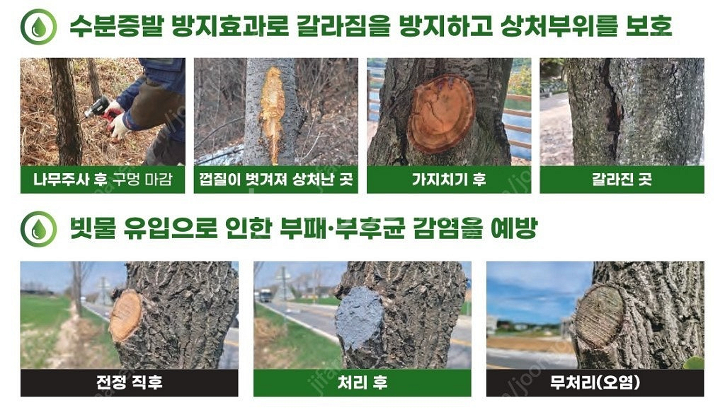 수목,나무 상처 보호제(도포제)경농 트리가드 200g ...--6