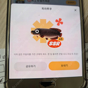 틱톡라이트물고기 피라루쿠판매