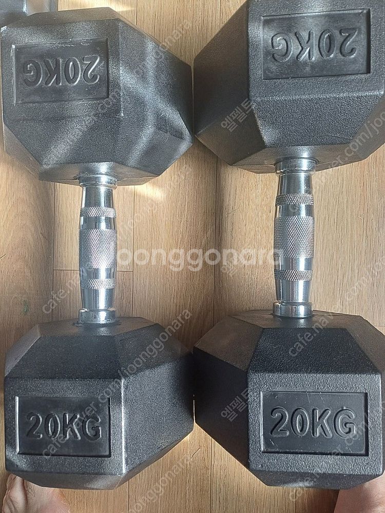 헬스프라자 고무덤벨 20kg x 2--0