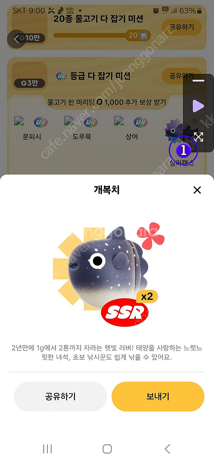 틱톡 낚시 개복치1마리 판매--0