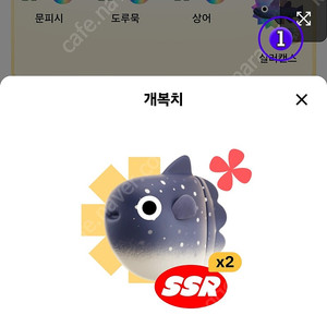 틱톡 낚시 개복치1마리 판매