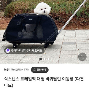 식스센스 트레일백 대형 바퀴달린 이동장(다견다묘)