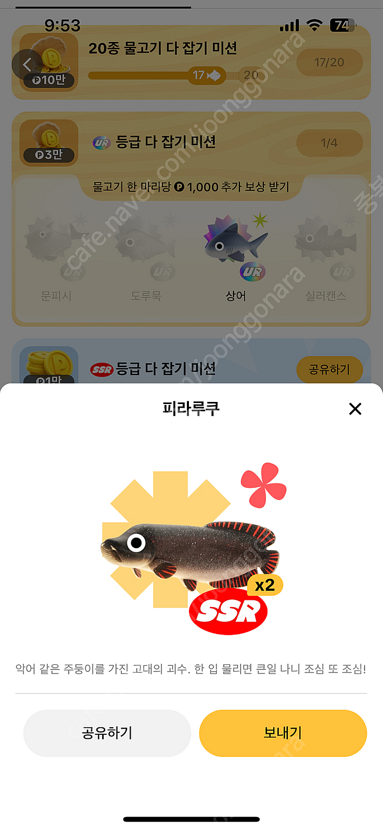 틱톡라이트 피라루쿠 판매--0