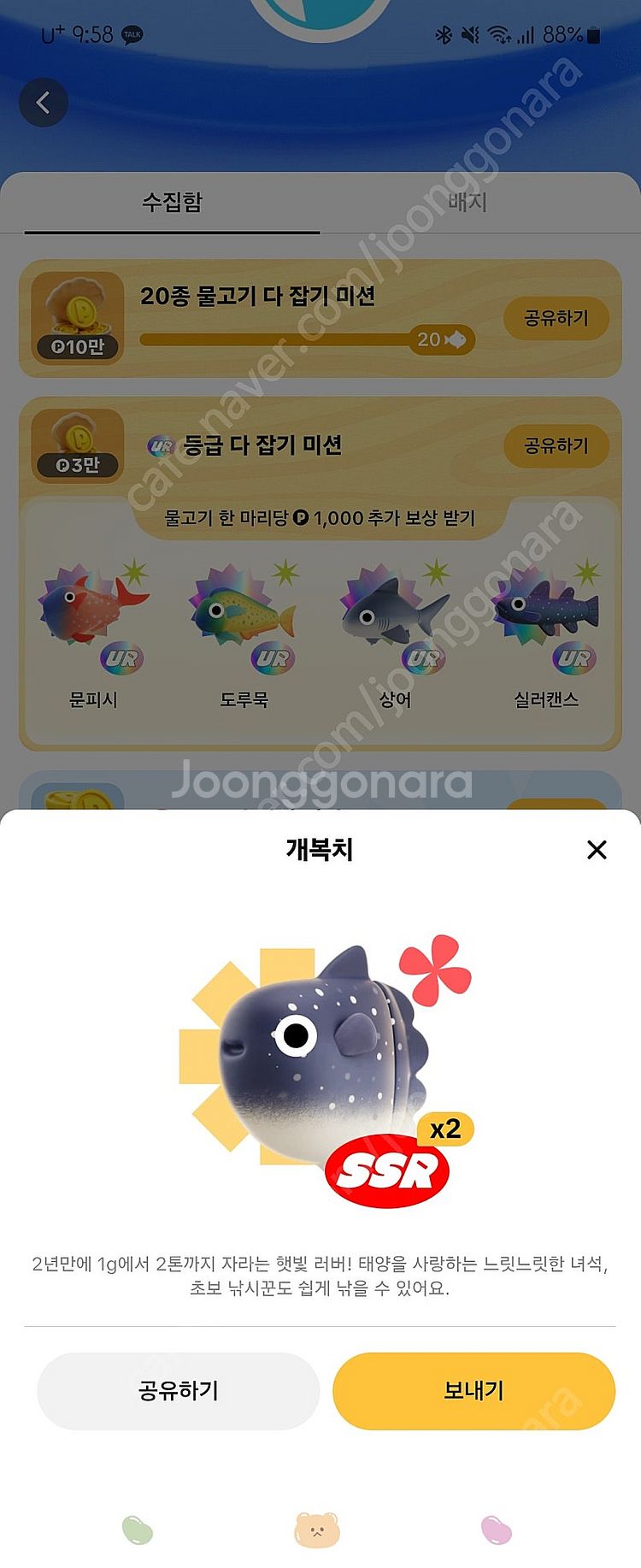 틱톡 개복치 팝니다--0
