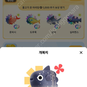 틱톡 개복치 팝니다