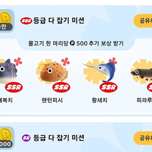 틱톡 개복치 황새치 피라루쿠 팝니다