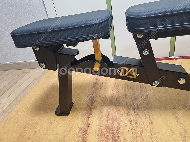 와일든1004m + 누오덤벨32kg (2kg조절) + ...--3