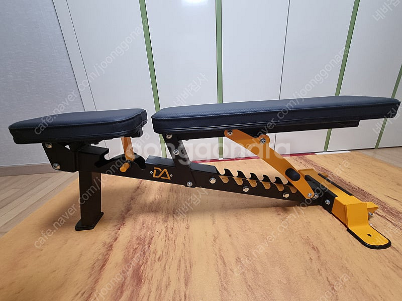 와일든1004m + 누오덤벨32kg (2kg조절) + ...--5