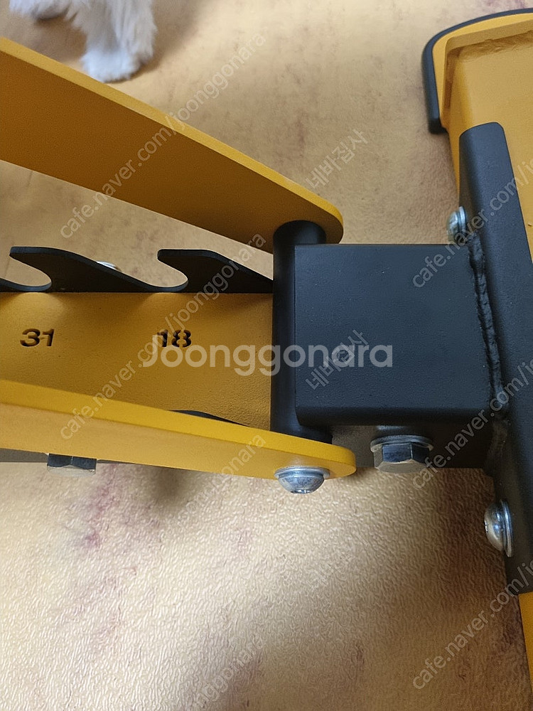 와일든1004m + 누오덤벨32kg (2kg조절) + ...--6
