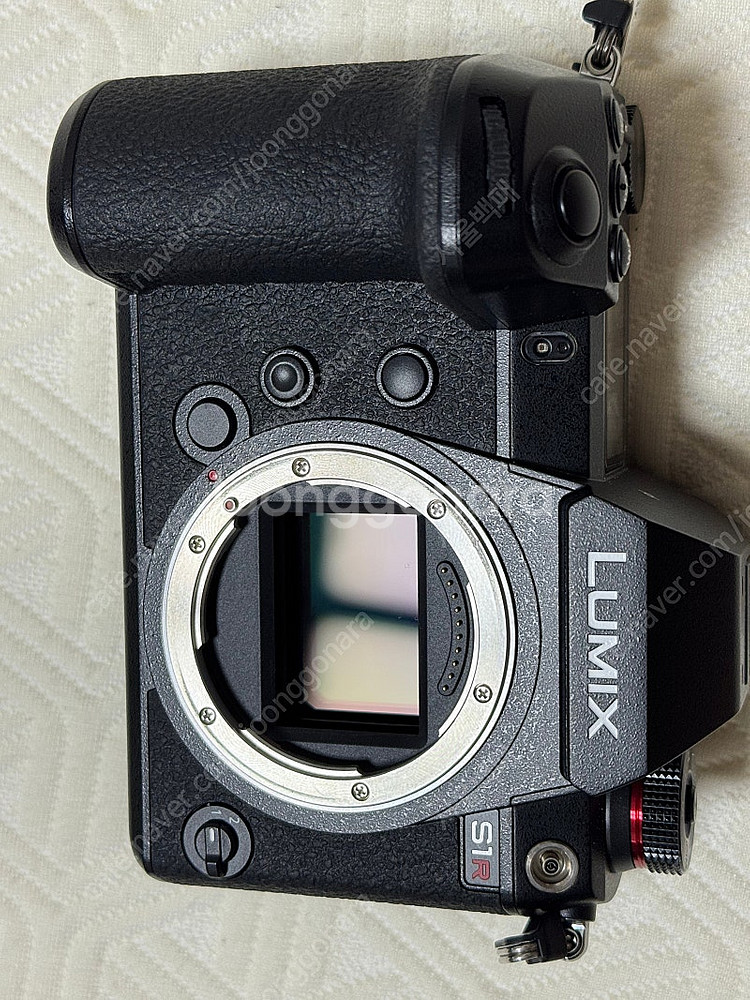 파나소닉 카메라 LUMIX S1R + 렌즈 S PRO ...--8