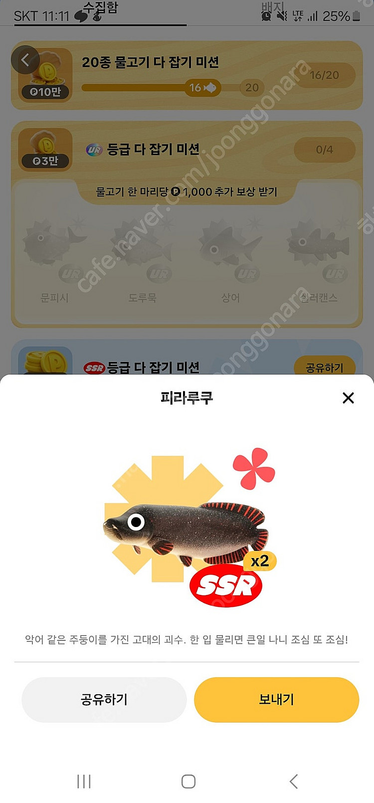틱톡 라이트 낚시 피라루쿠 팝니댜--0