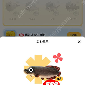 틱톡 라이트 낚시 피라루쿠 팝니댜