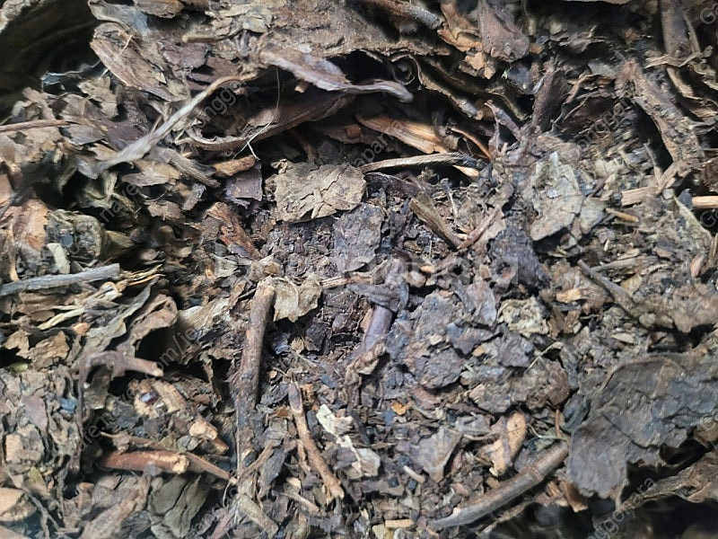 88년산 사천성 금첨차(흑차) 판매합니다.--2