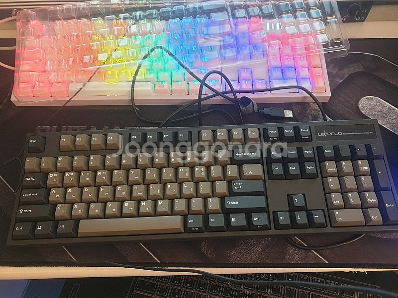 레오폴드 fc900r 그라파이트 적축--0