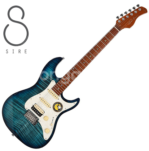 가격인하 SIRE 일렉기타 Larry Carlton S...--0