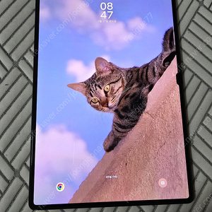 갤럭시탭s9 울트라 256gb wifi