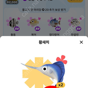 틱톡 물고기 사요 (도루묵 실러캔스) 황새치 잇어요
