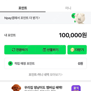 네이버 포인트 10만