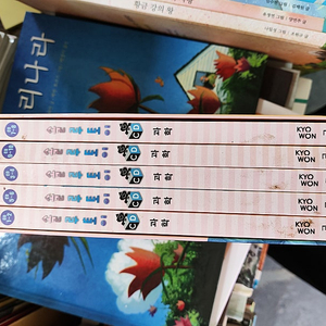 솔루토이 과학 CD만