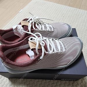 (새상품) ECCO 여성 골프화