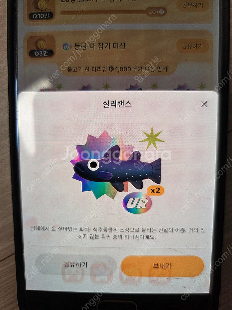 틱톡라이트물고기 실러캔스--0
