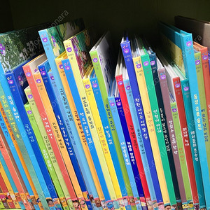 그레이트북스 도레미 곰 책 세트