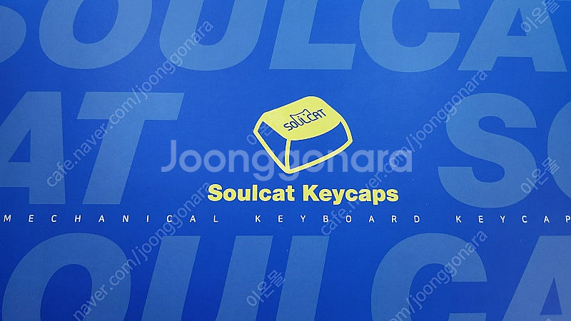 Soulcat 쫑긋고양이 키캡 (고양이 대가족)--0