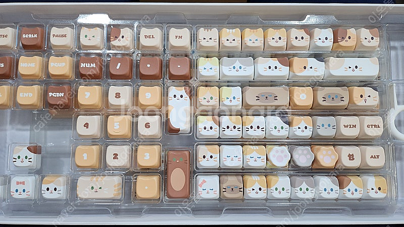 Soulcat 쫑긋고양이 키캡 (고양이 대가족)--2
