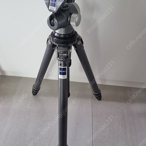 GITZO 짓조 삼각대 G226 + 헤드 G1275M