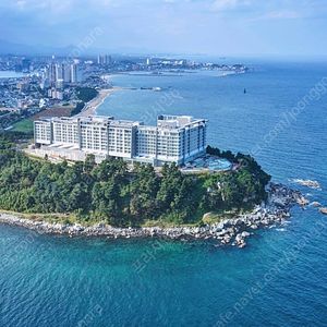 (7월 8월) 영덕 파나크 풀빌라 / 김해 부여 속초 롯데리조트 가실분!!