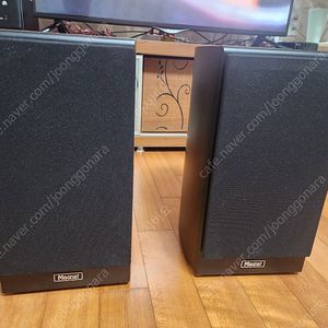Magnat Quantum 723 북쉘프 스피커 판매합니다 (정상작동 / 상태 양호)