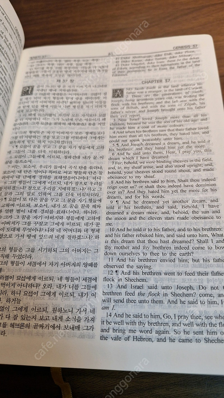 성경책 3권 이미지