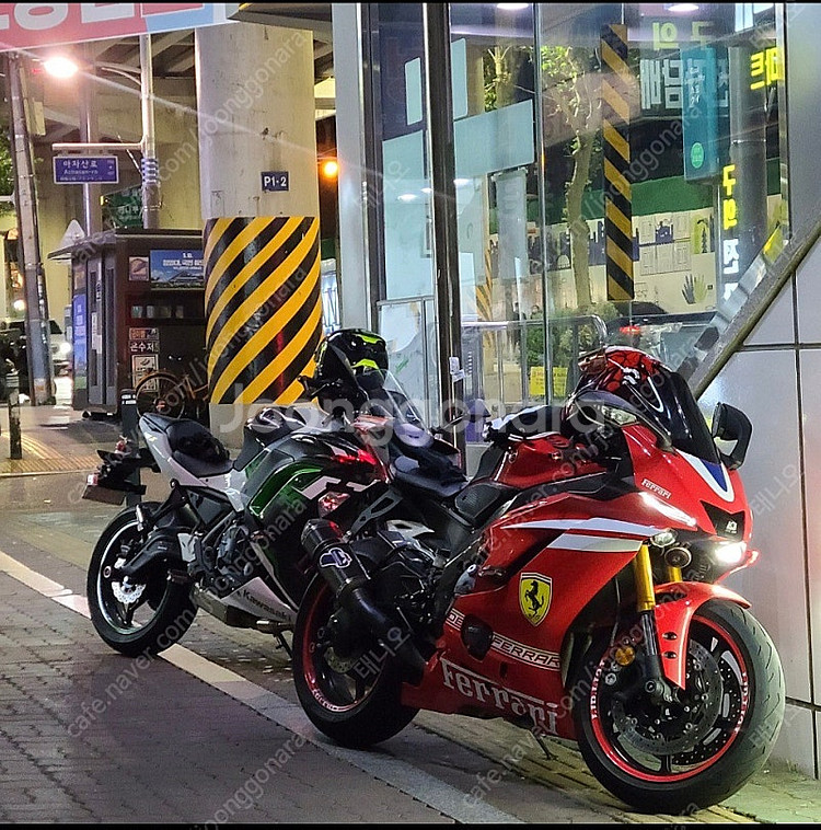 R6 떼르미뇨니 풀배기 판매합니다.--1