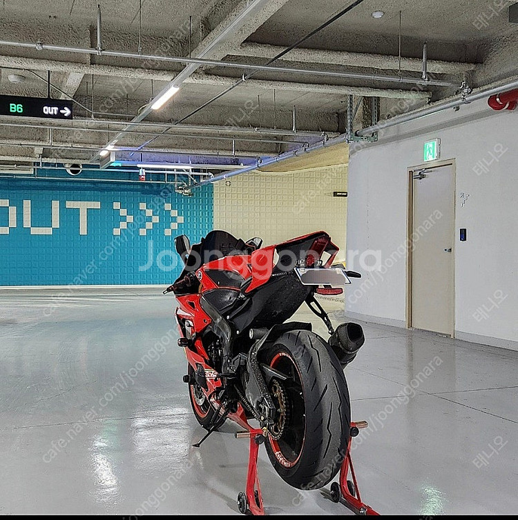 R6 떼르미뇨니 풀배기 판매합니다.--7