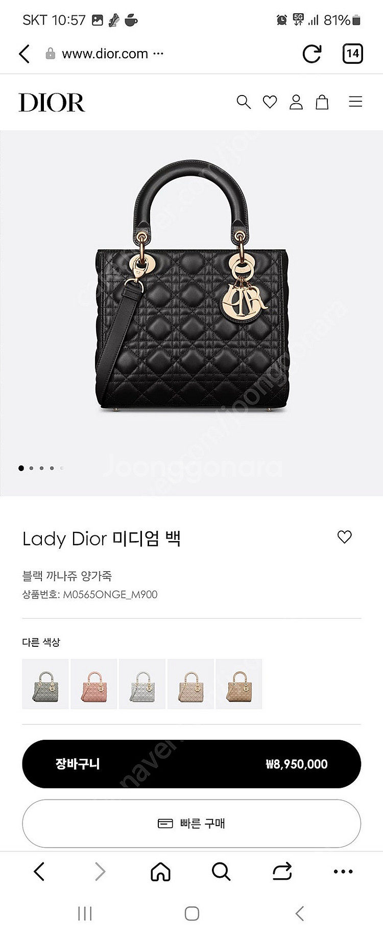 레이디 디올 블랙 미디움--0