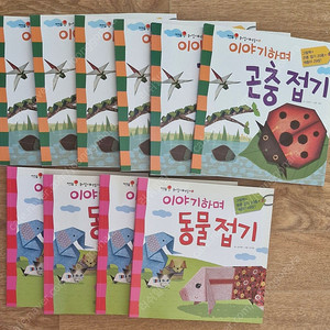 곤충접기 동물접기
