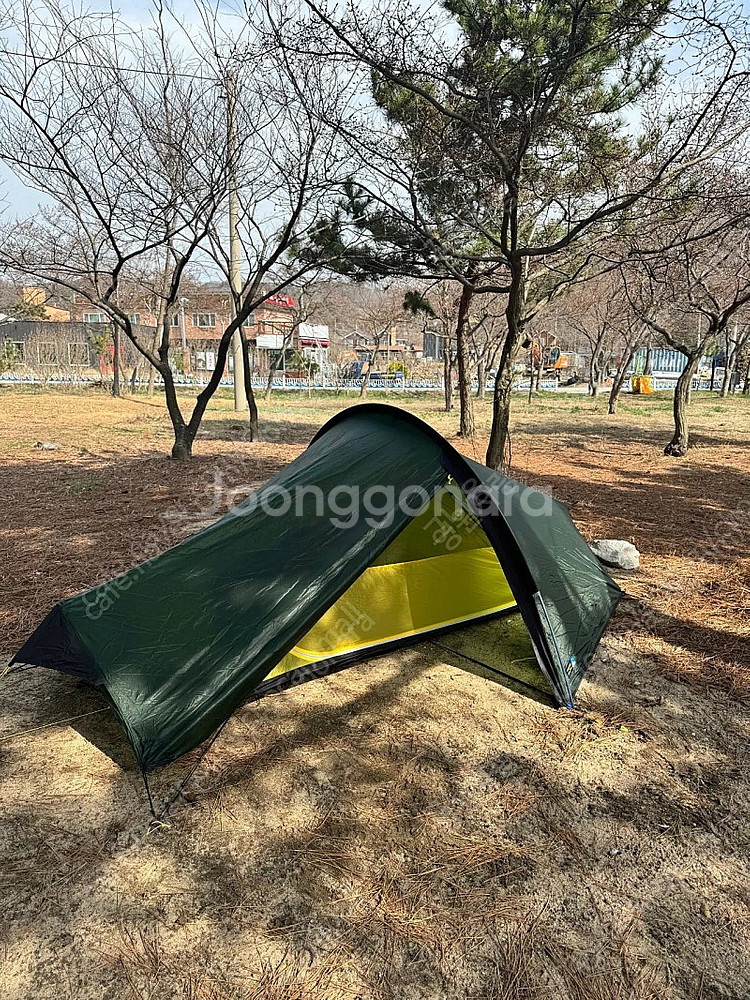 테라노바 레이저 컴팩트1 팝니다--0